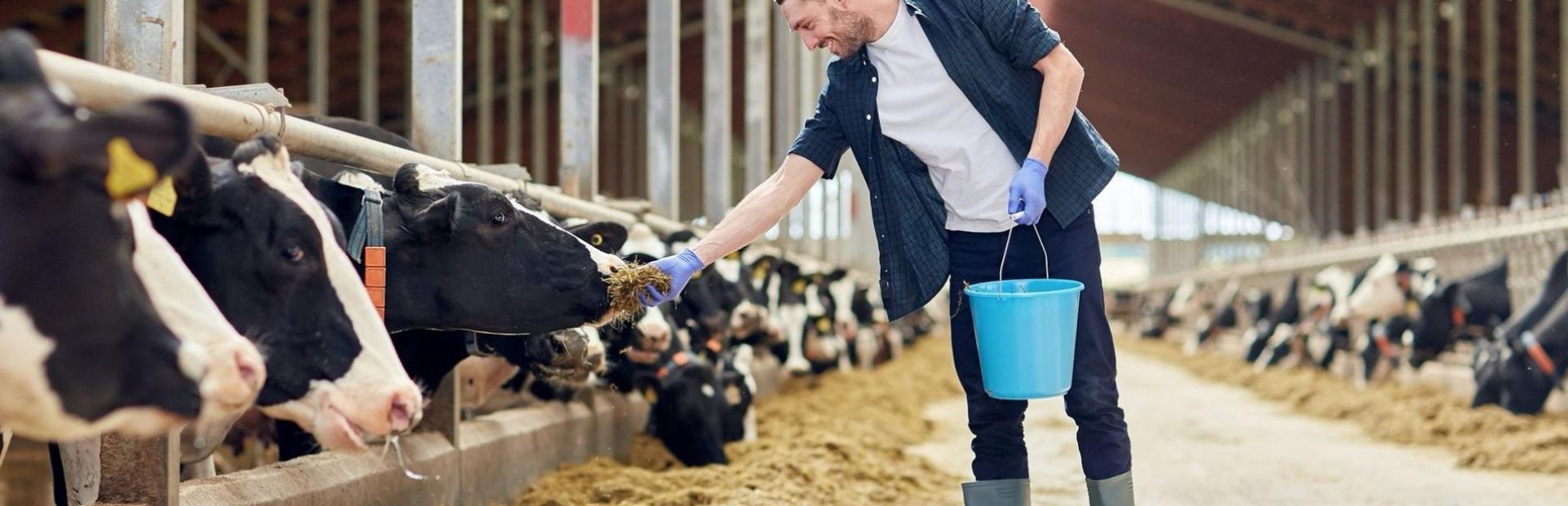 Raise a Glass...of Milk to Essential Dairy Workers! | Glanbia Nutritionals